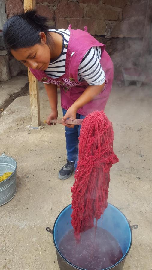 مبيت وإفطار Teotitlán del Valle Lizu Tu Casa En Un Pueblo Zapoteca المظهر الخارجي الصورة