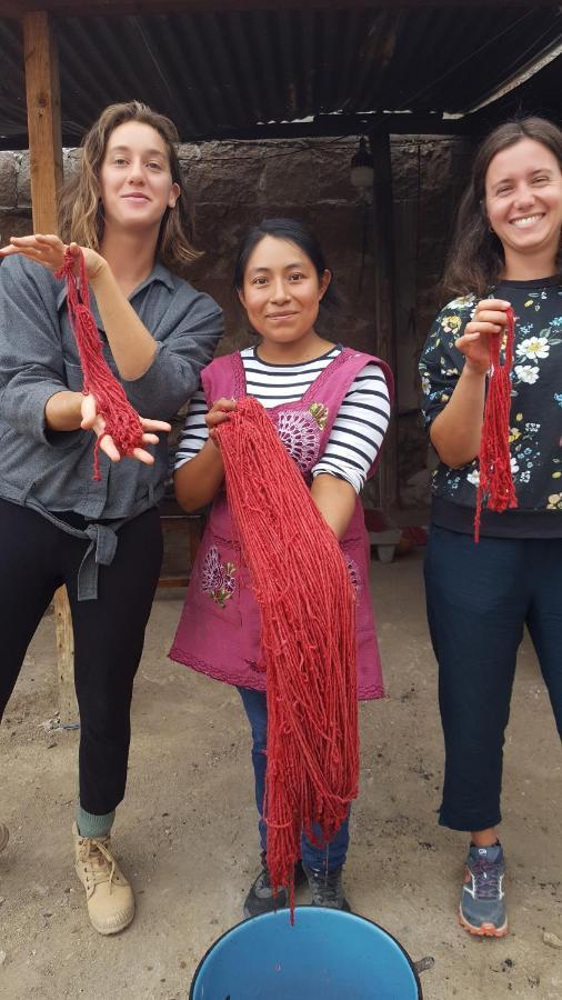 مبيت وإفطار Teotitlán del Valle Lizu Tu Casa En Un Pueblo Zapoteca المظهر الخارجي الصورة