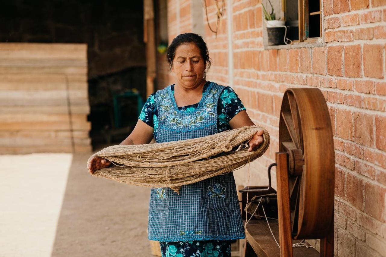 مبيت وإفطار Teotitlán del Valle Lizu Tu Casa En Un Pueblo Zapoteca المظهر الخارجي الصورة