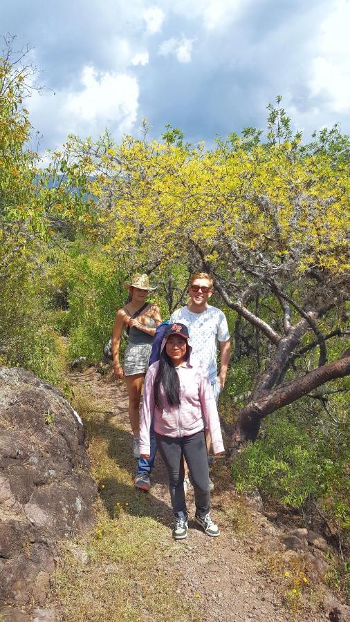 مبيت وإفطار Teotitlán del Valle Lizu Tu Casa En Un Pueblo Zapoteca المظهر الخارجي الصورة